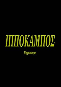 hippocampus short film poster